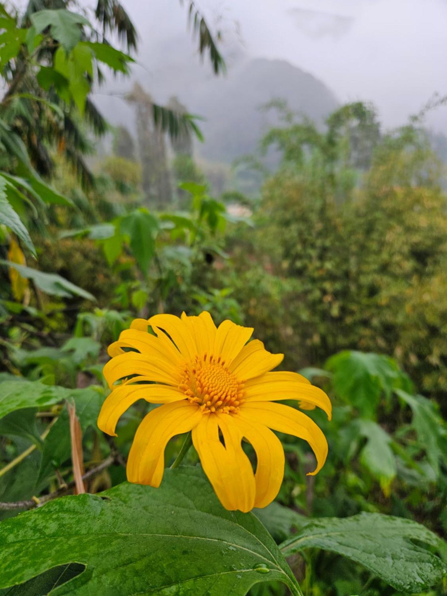 Arum Bromo Villas Ngadisari Ngoại thất bức ảnh